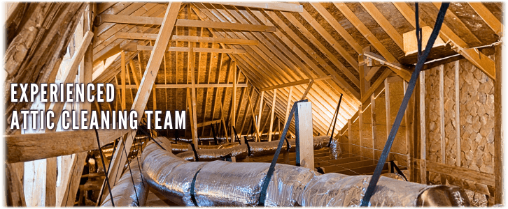 Attic Cleaning Spring TX